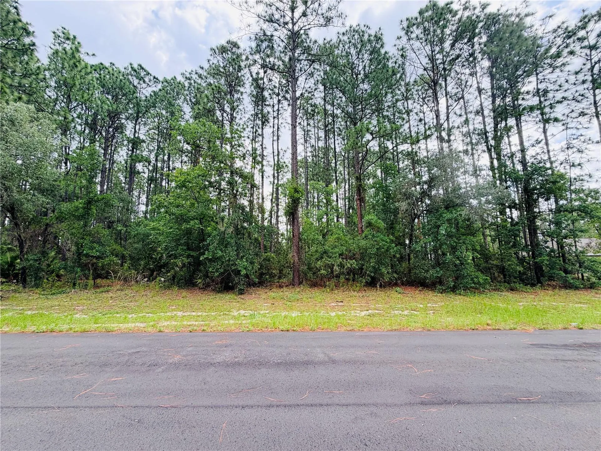 13873 SW 80th Court Ocala FL 34473