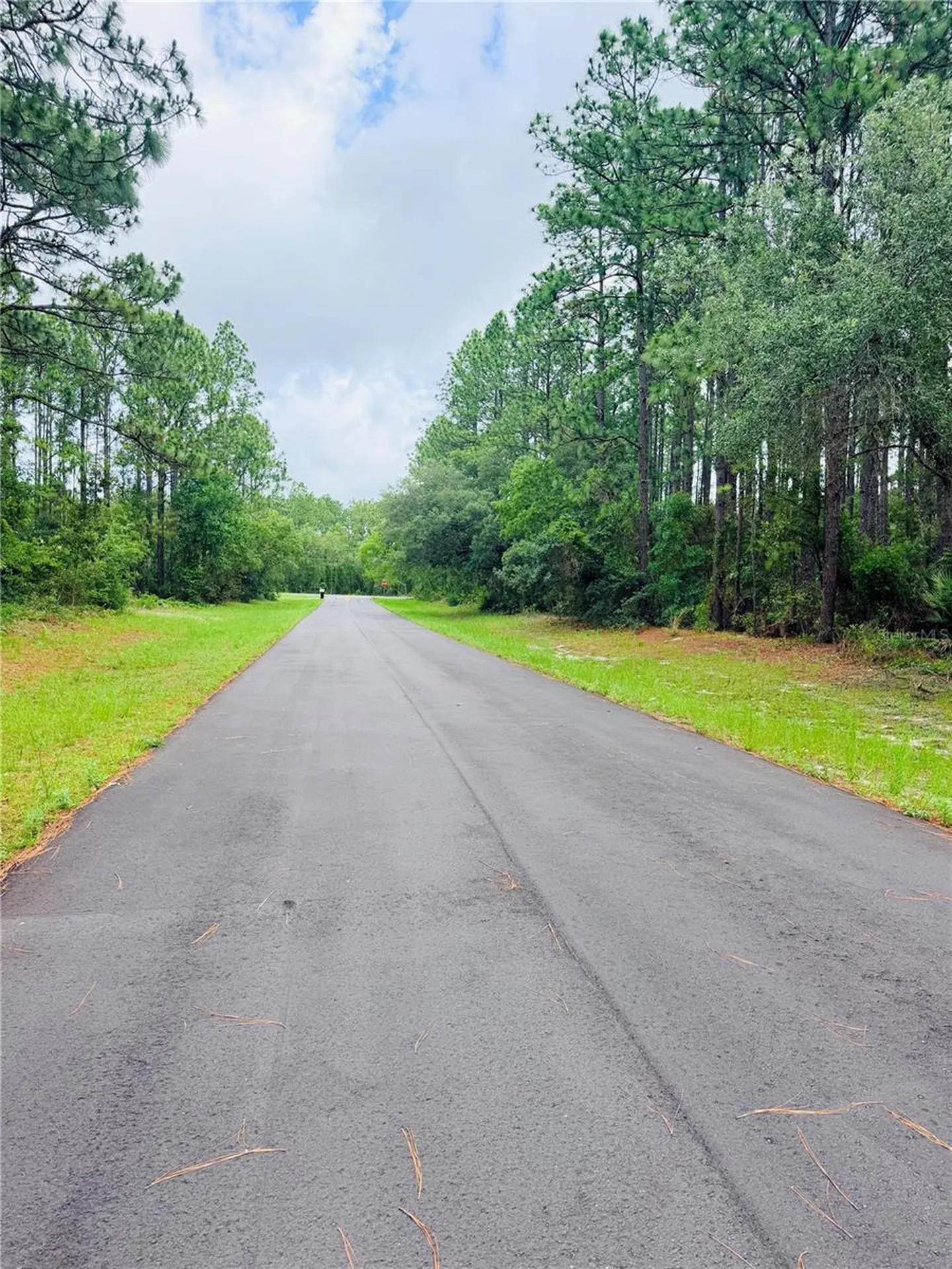 13873 SW 80th Court Ocala FL 34473