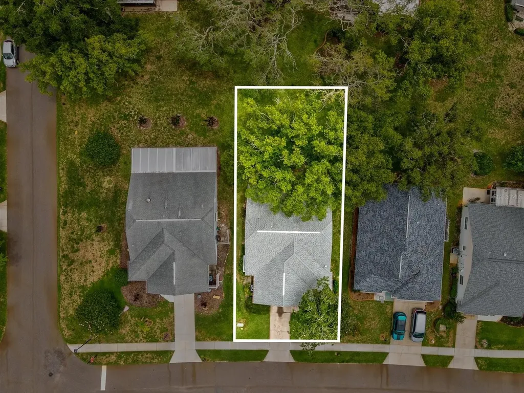 11614 Rose Tree Drive New Port Richey FL 34654