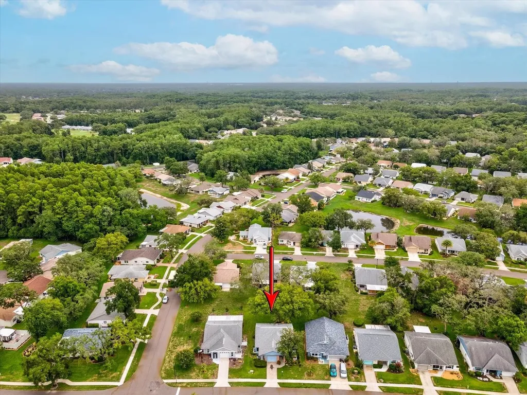 11614 Rose Tree Drive New Port Richey FL 34654