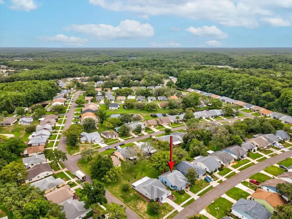 11614 Rose Tree Drive New Port Richey FL 34654