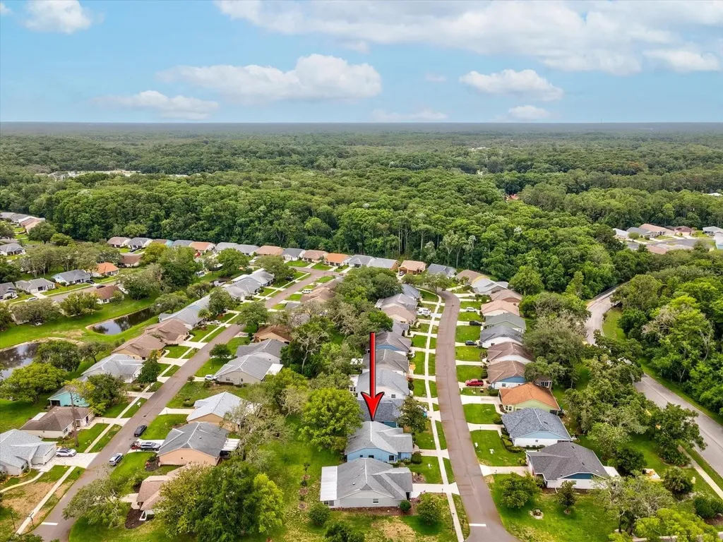 11614 Rose Tree Drive New Port Richey FL 34654