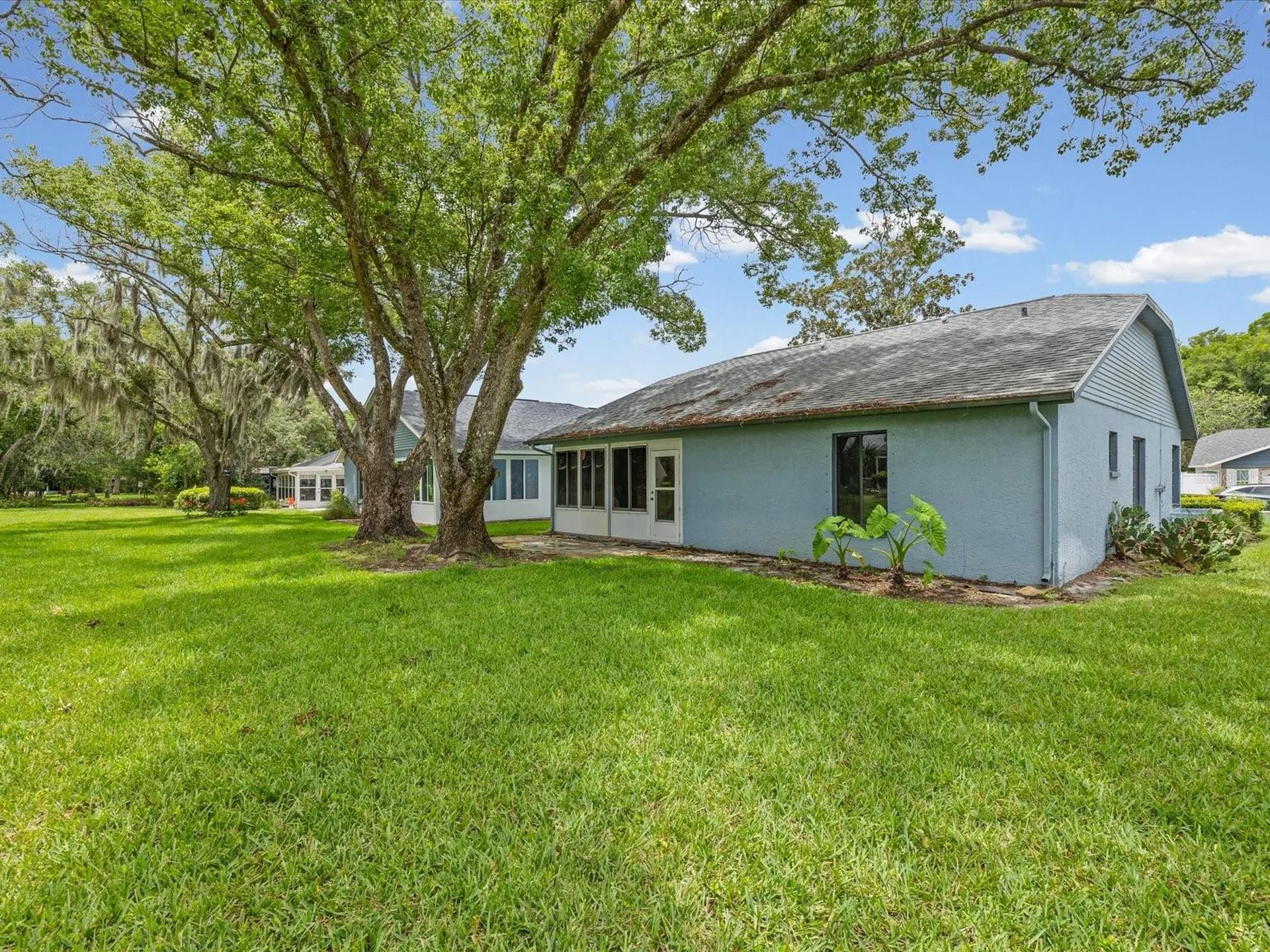 11614 Rose Tree Drive New Port Richey FL 34654