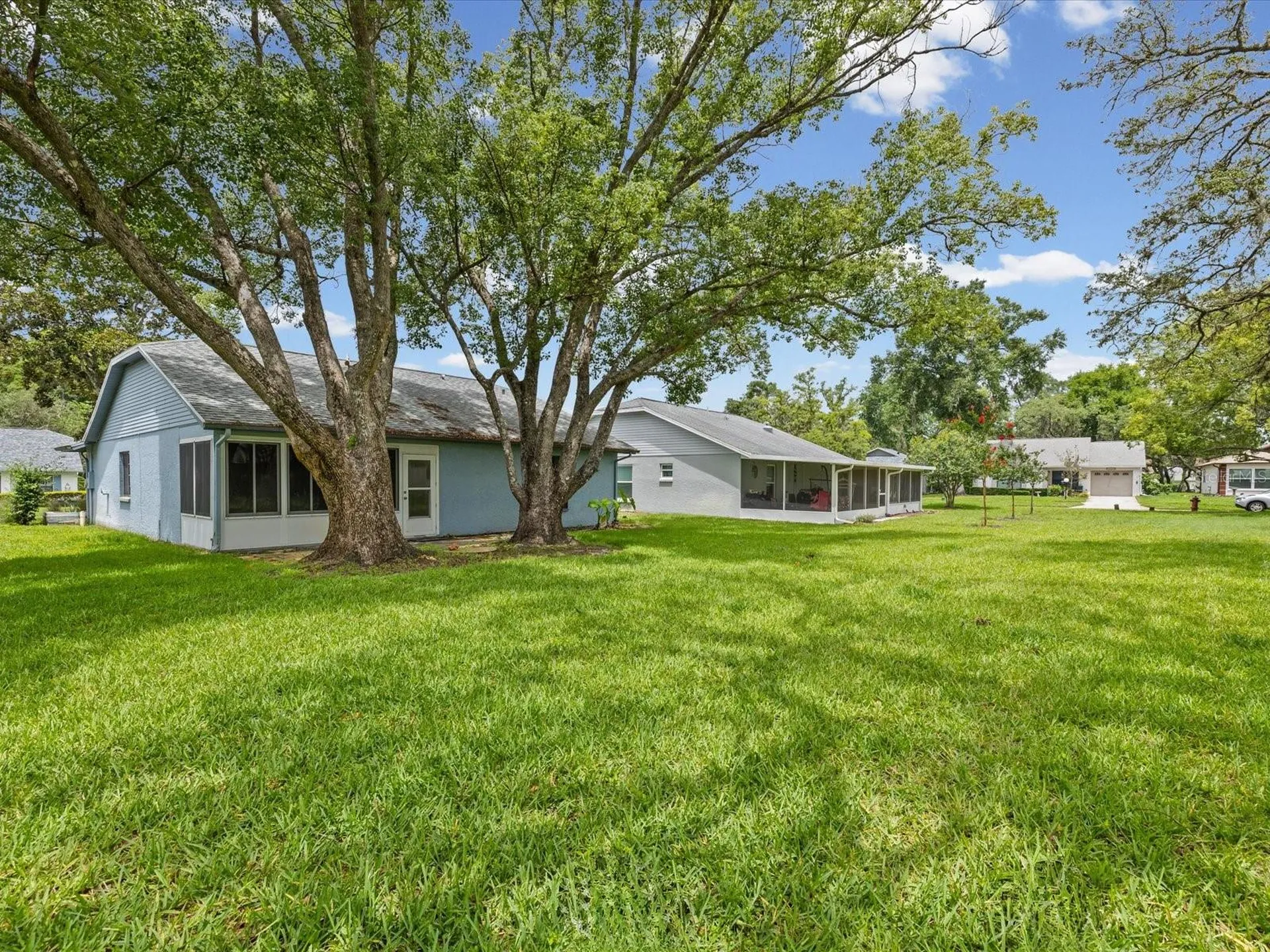 11614 Rose Tree Drive New Port Richey FL 34654