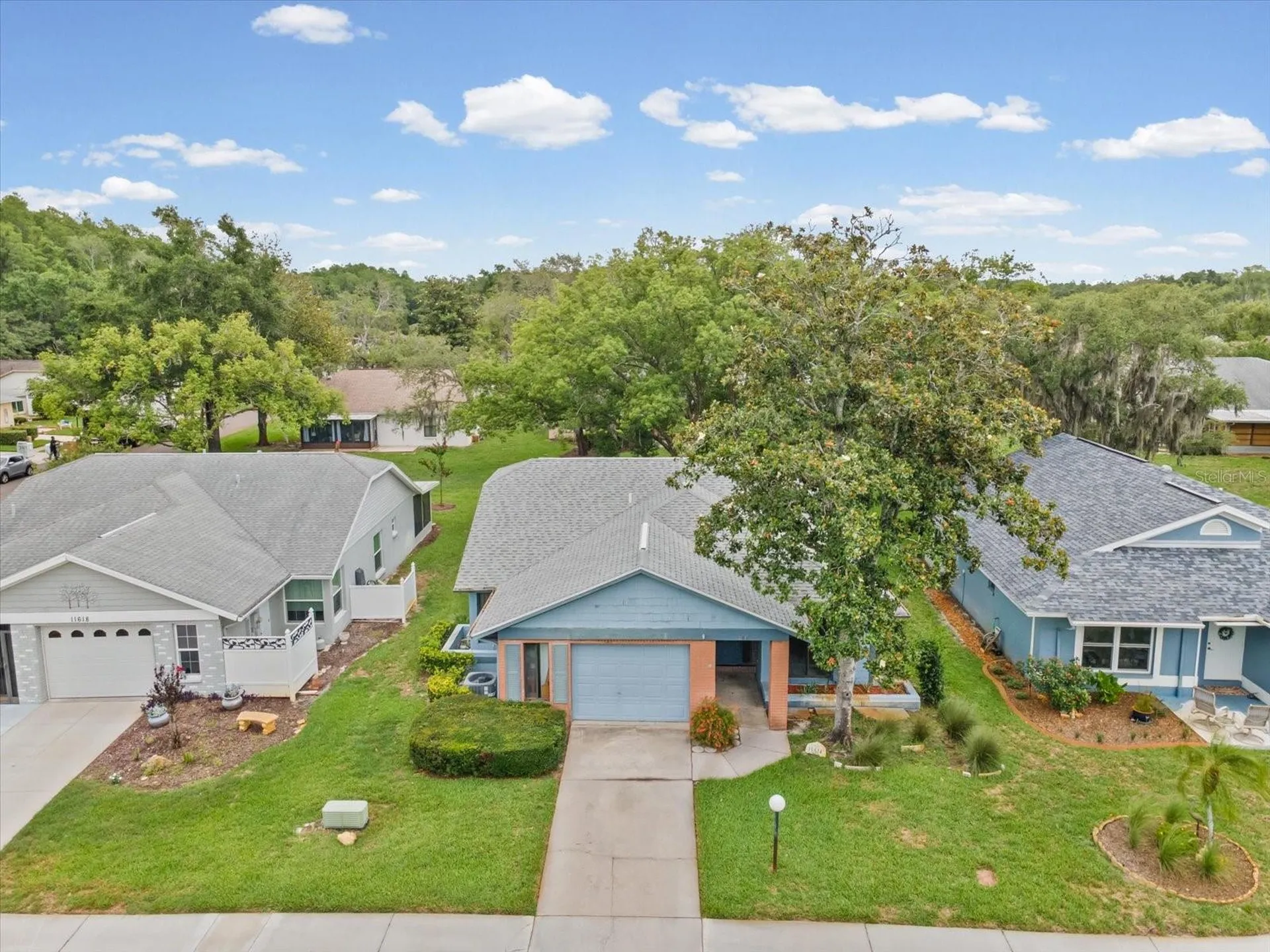 11614 Rose Tree Drive New Port Richey FL 34654