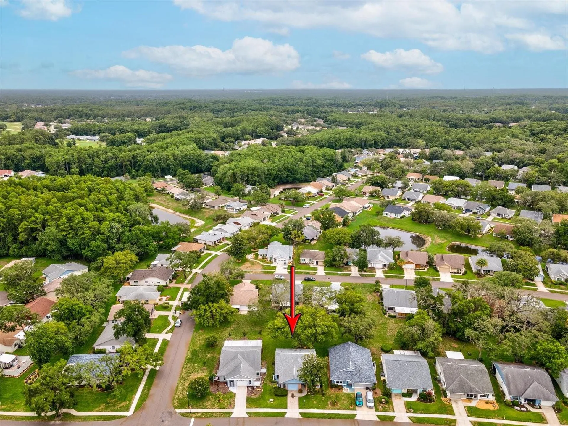 11614 Rose Tree Drive New Port Richey FL 34654