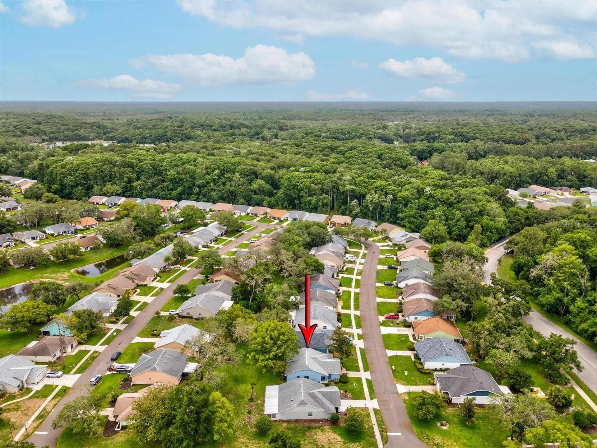 11614 Rose Tree Drive New Port Richey FL 34654