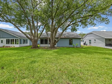 11614 Rose Tree Drive New Port Richey FL 34654