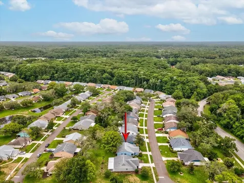 11614 Rose Tree Drive New Port Richey FL 34654