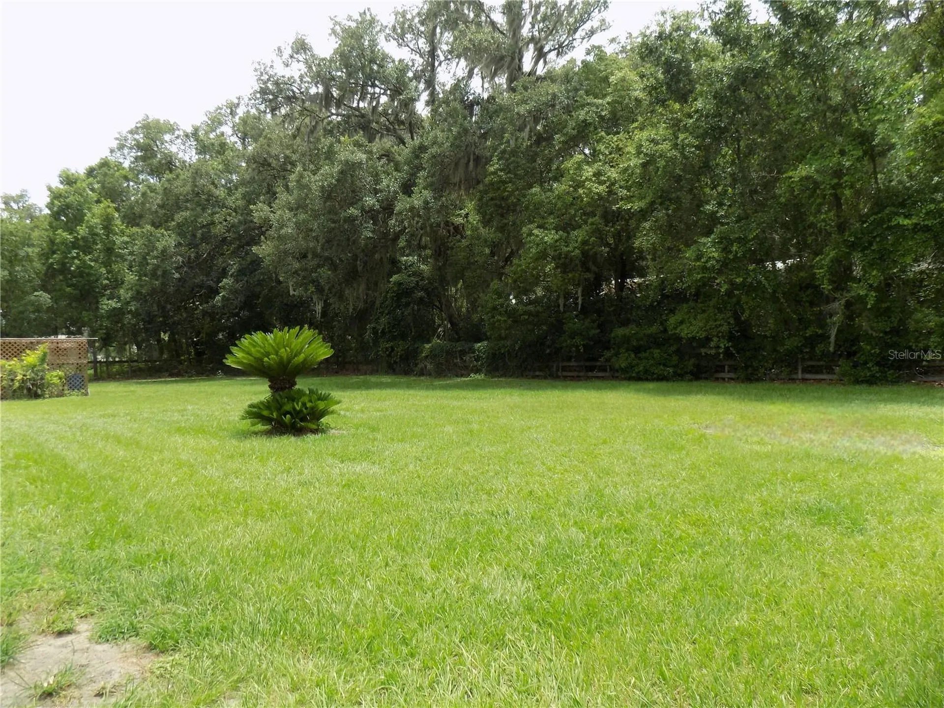 3374 Cooper Road Plant City FL 33565