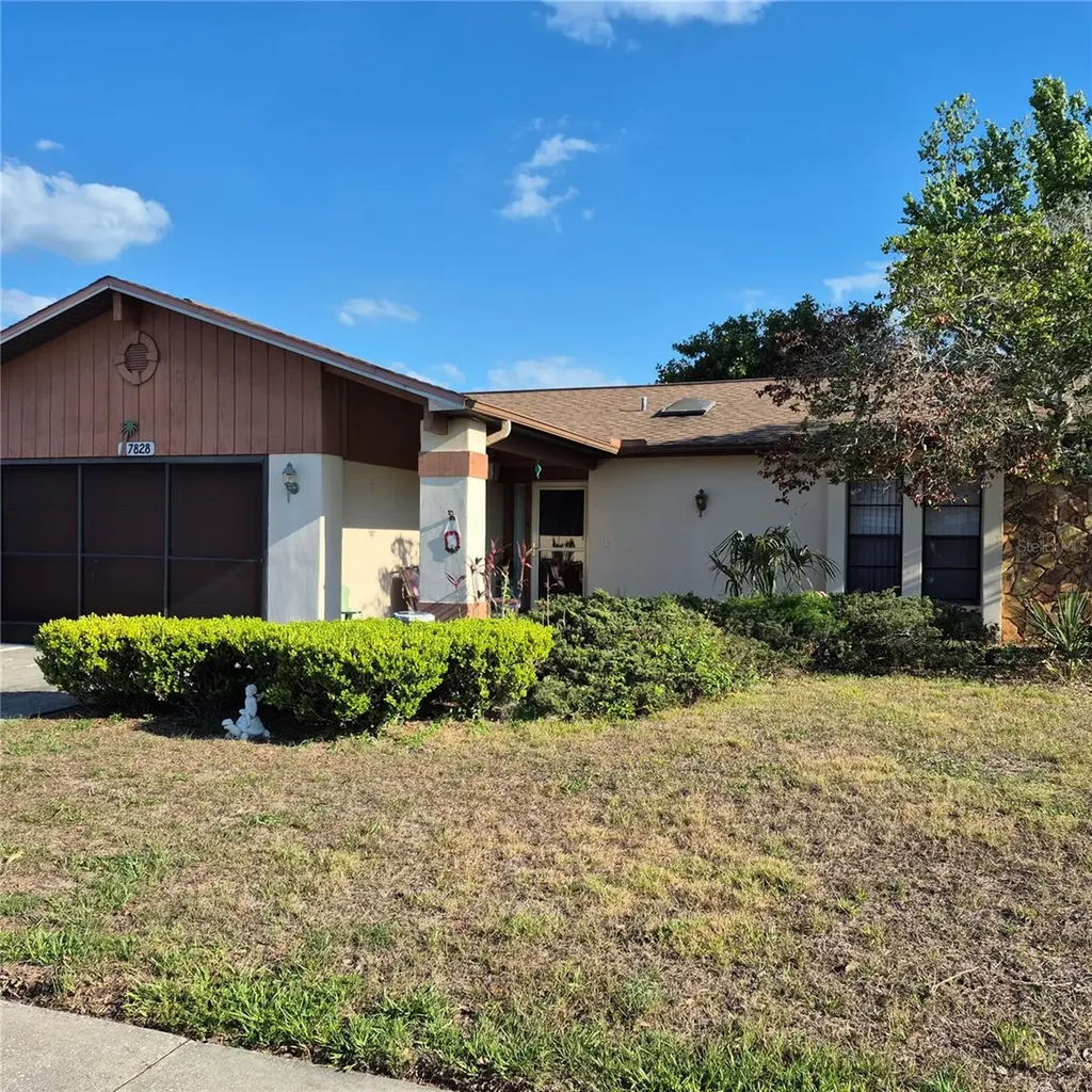 7828 Royal Stewart Drive New Port Richey FL 34653
