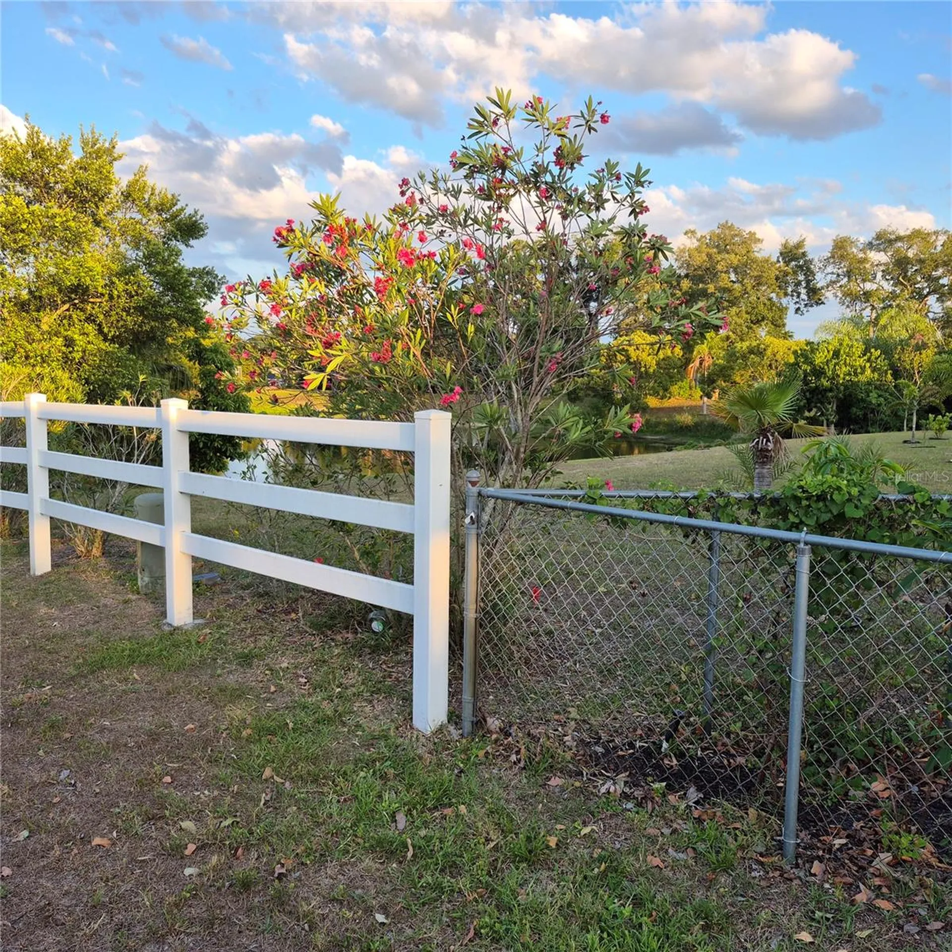 7828 Royal Stewart Drive New Port Richey FL 34653