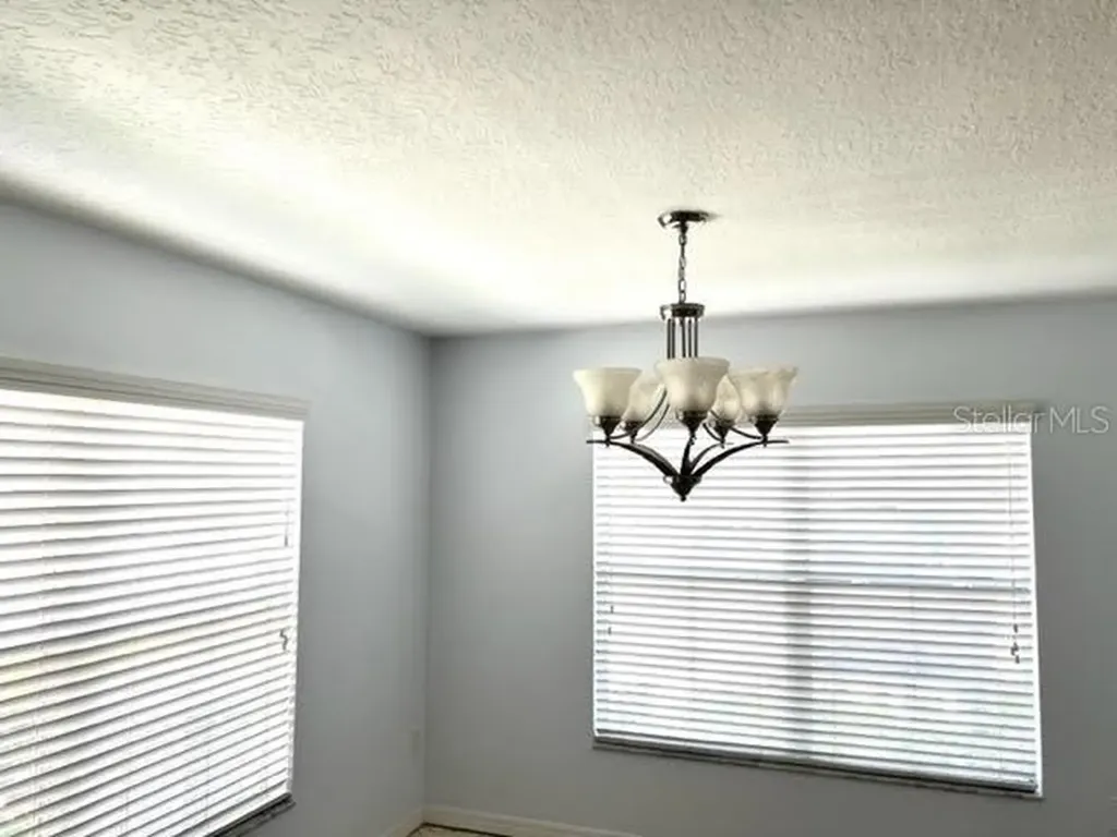 9741 Trumpet Vine Loop Trinity FL 34655