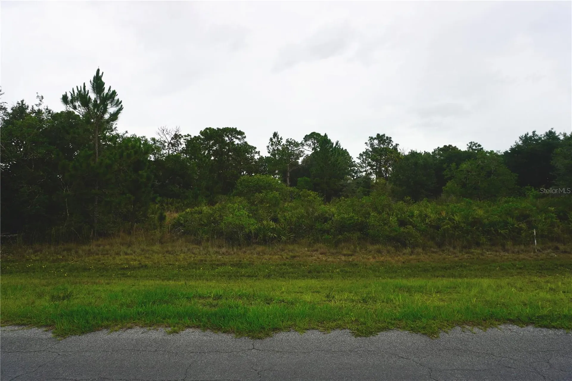 Reynolds Parkway Orlando FL 32833