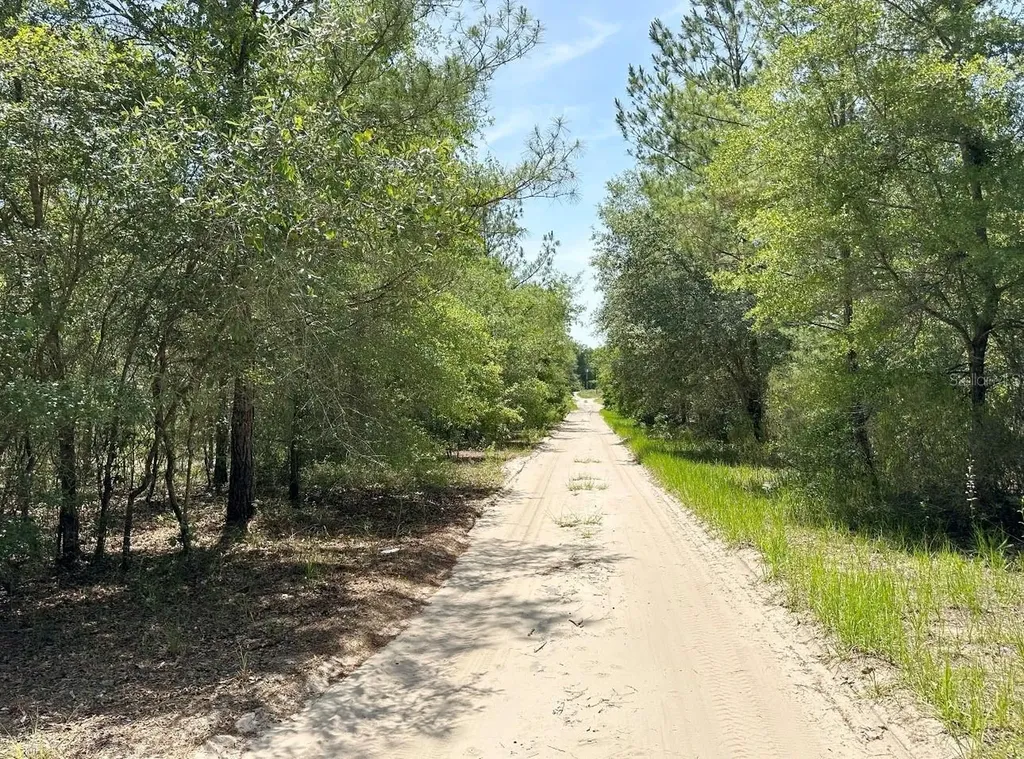 7930 NE 121st Street Bronson FL 32621