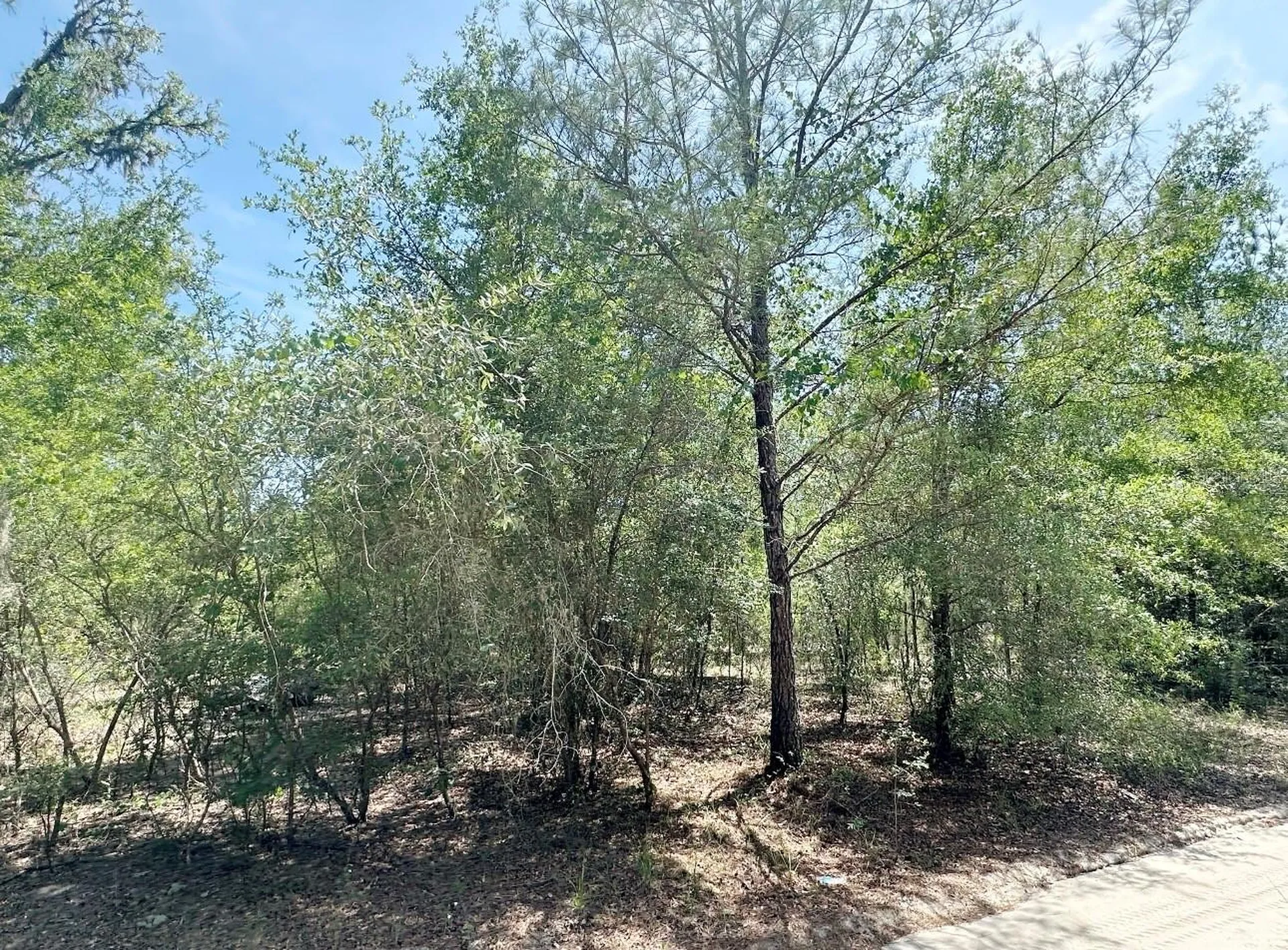 7930 NE 121st Street Bronson FL 32621