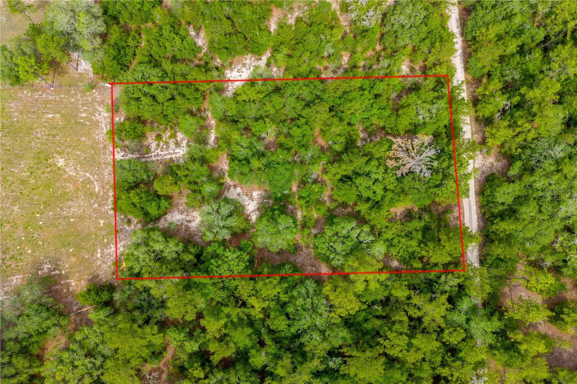 7930 NE 121st Street Bronson FL 32621