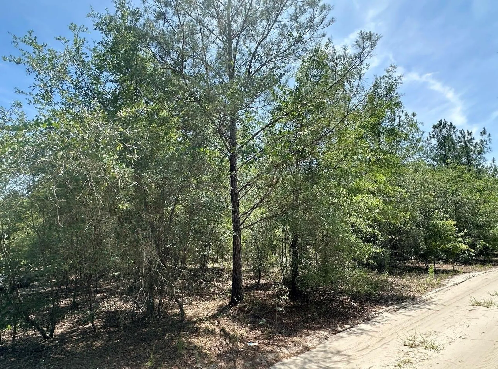 7930 NE 121st Street Bronson FL 32621