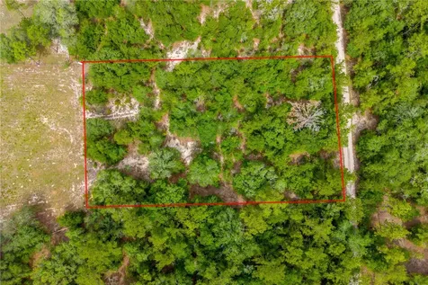7930 NE 121st Street Bronson FL 32621