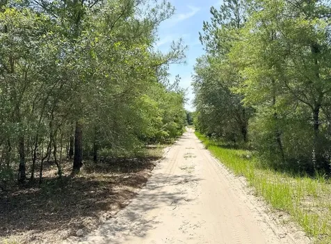 7930 NE 121st Street Bronson FL 32621