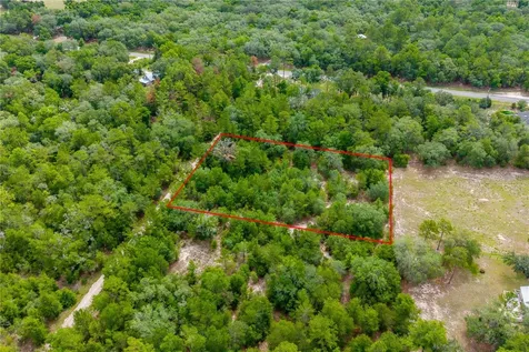 7930 NE 121st Street Bronson FL 32621