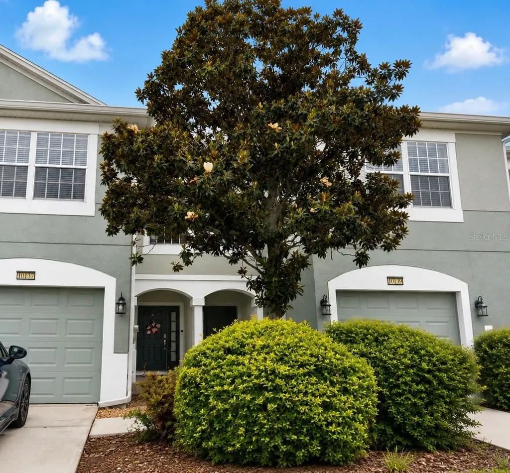 10137 Pink Palmata Court Riverview FL 33578