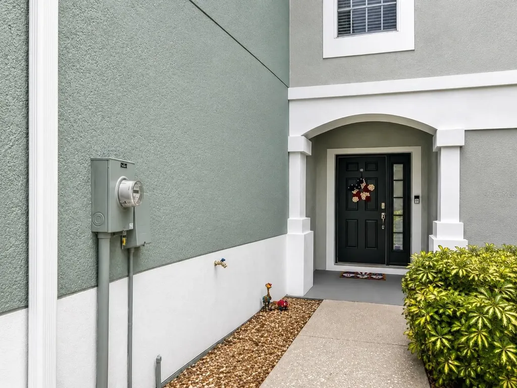10137 Pink Palmata Court Riverview FL 33578