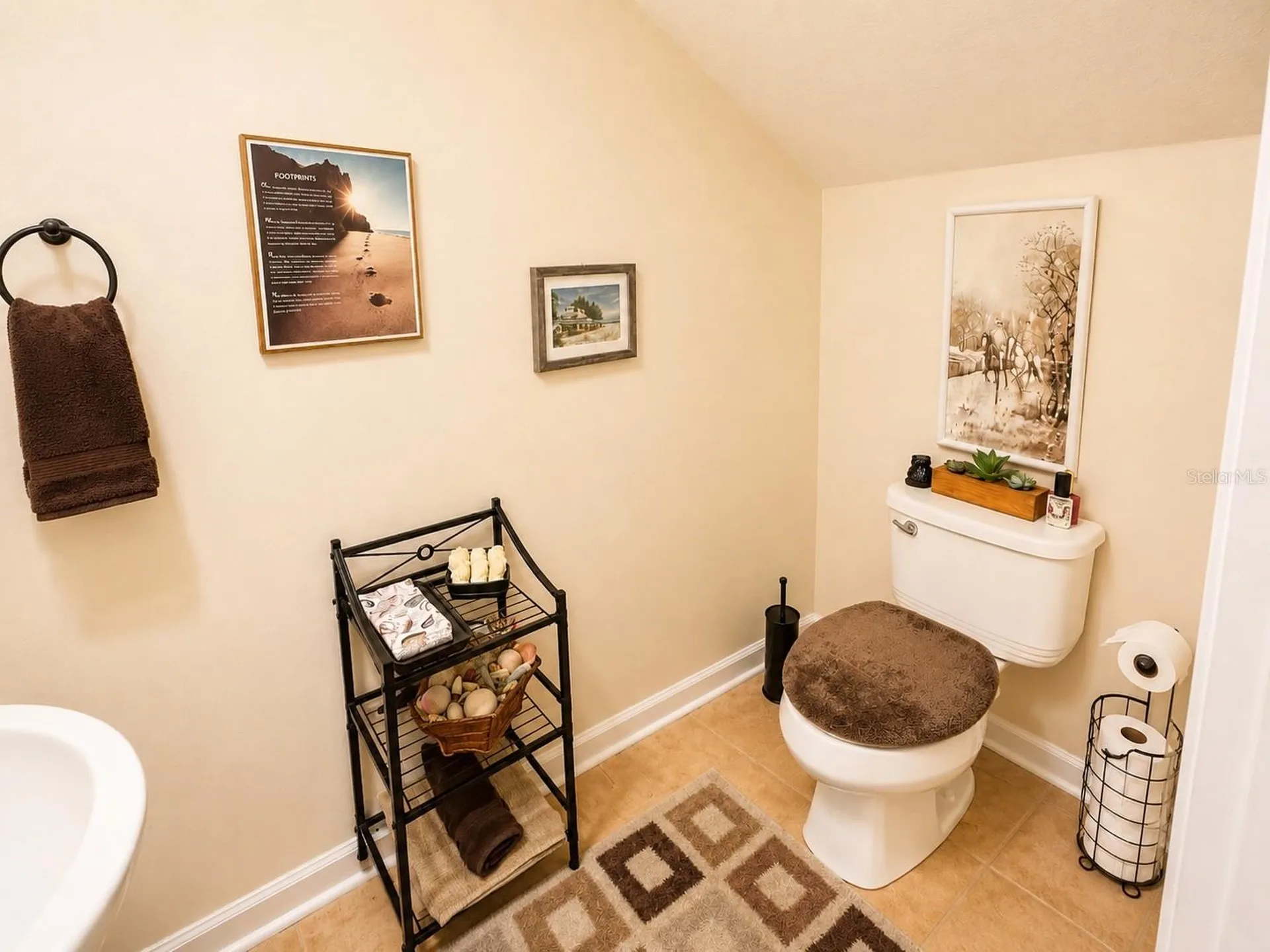10137 Pink Palmata Court Riverview FL 33578