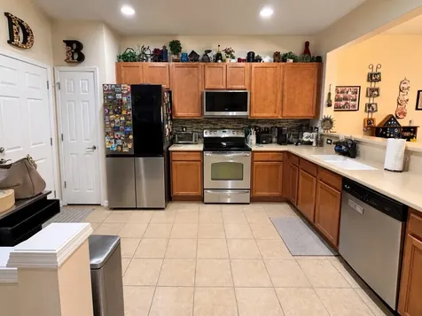10137 Pink Palmata Court Riverview FL 33578