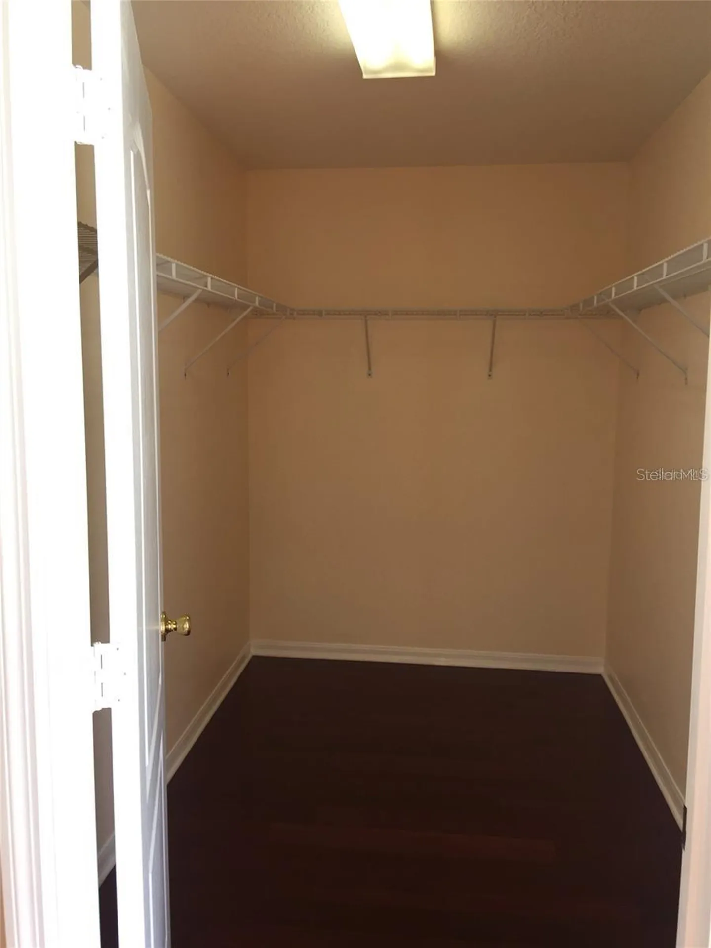 20110 Nob Oak Avenue Tampa FL 33647