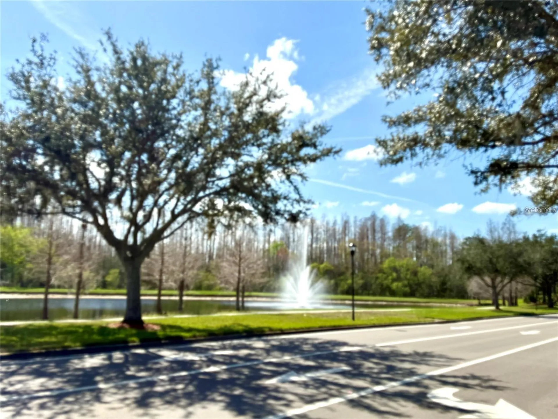 20110 Nob Oak Avenue Tampa FL 33647