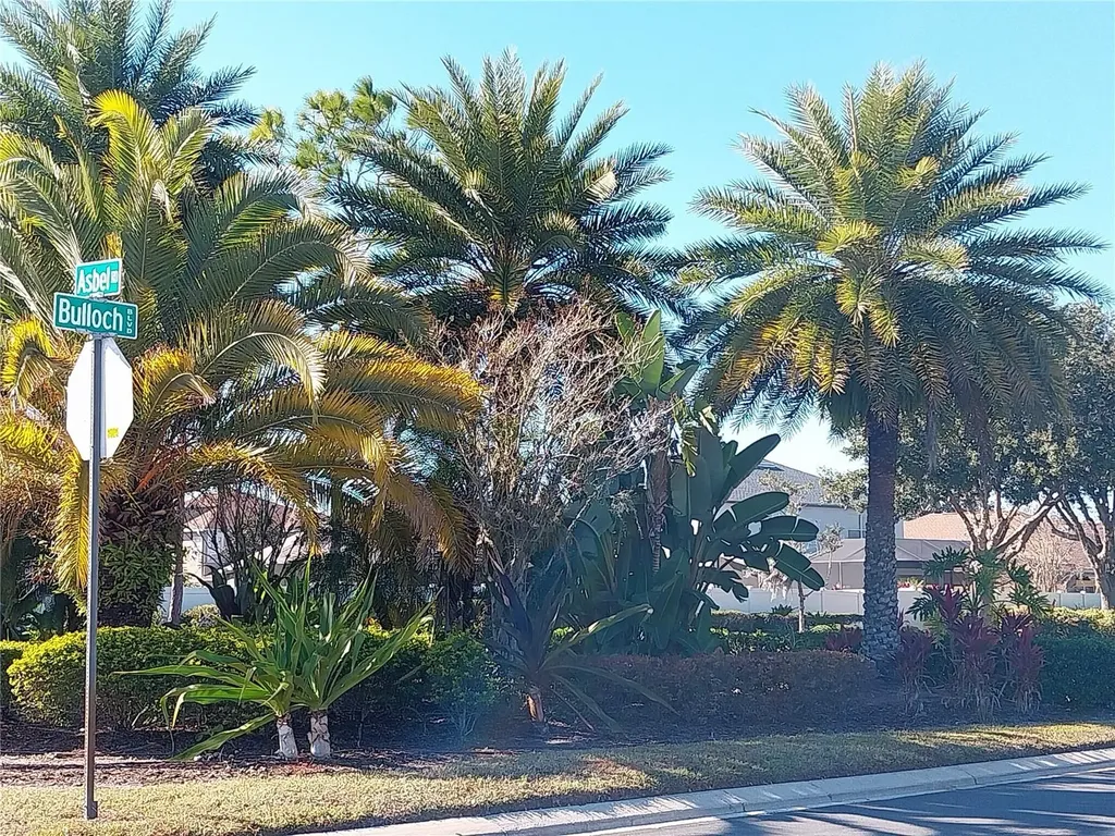 10116 Perthshire Circle Land O Lakes FL 34638