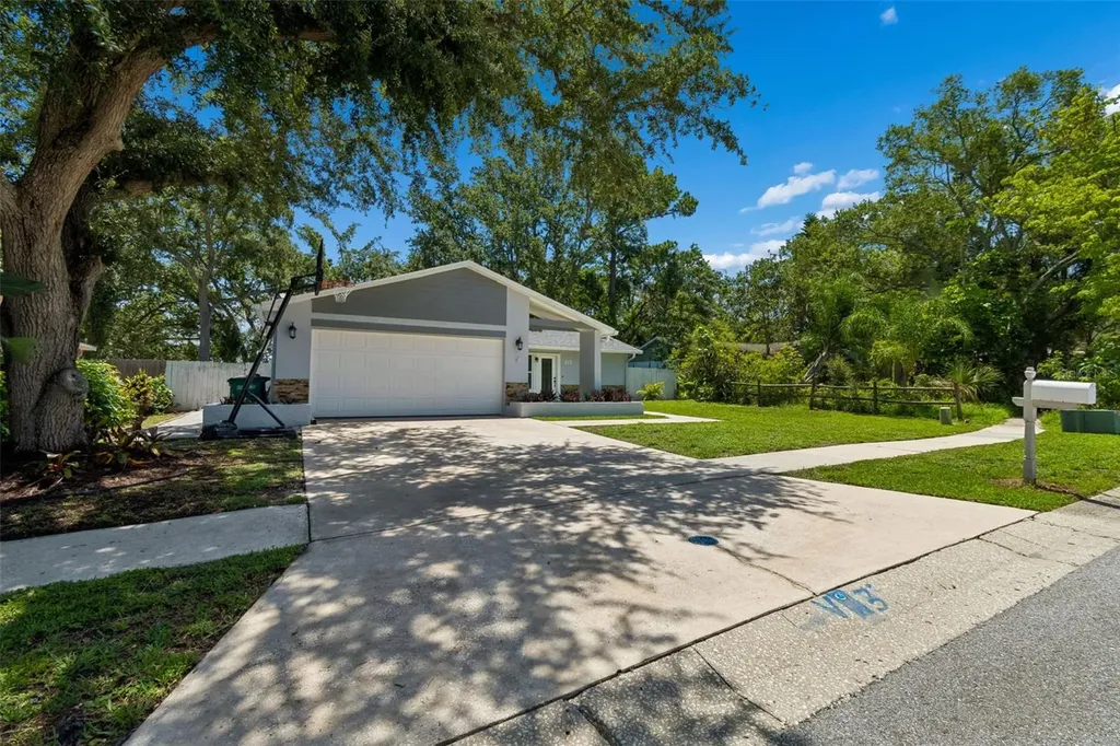 222 Lotus Drive Safety Harbor FL 34695