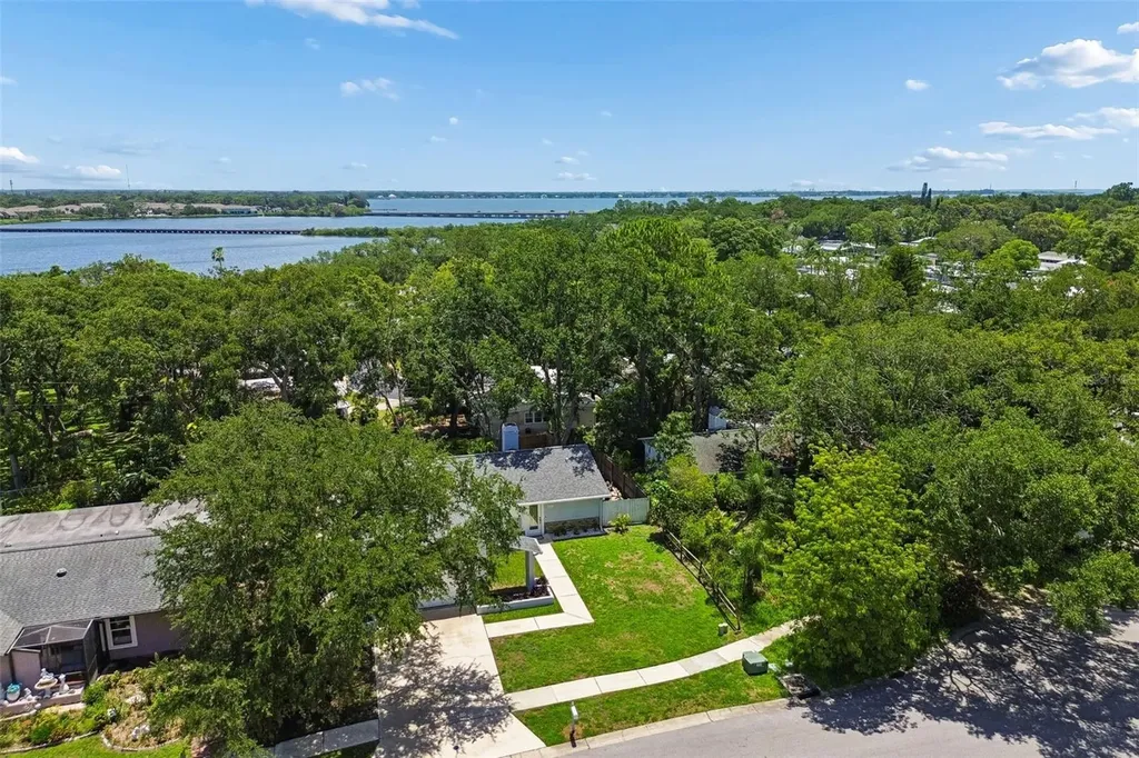 222 Lotus Drive Safety Harbor FL 34695