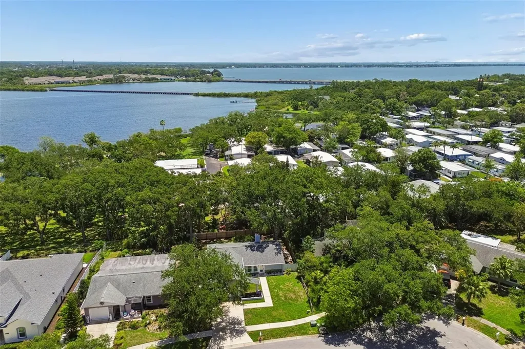 222 Lotus Drive Safety Harbor FL 34695
