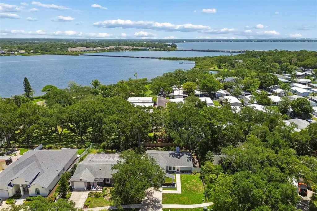 222 Lotus Drive Safety Harbor FL 34695