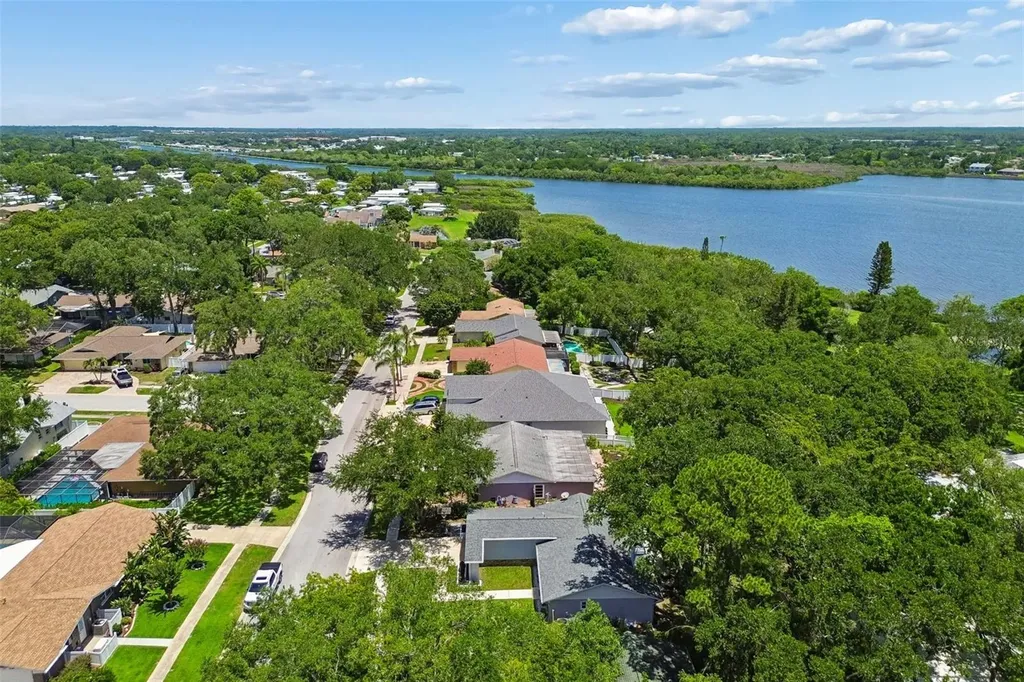 222 Lotus Drive Safety Harbor FL 34695