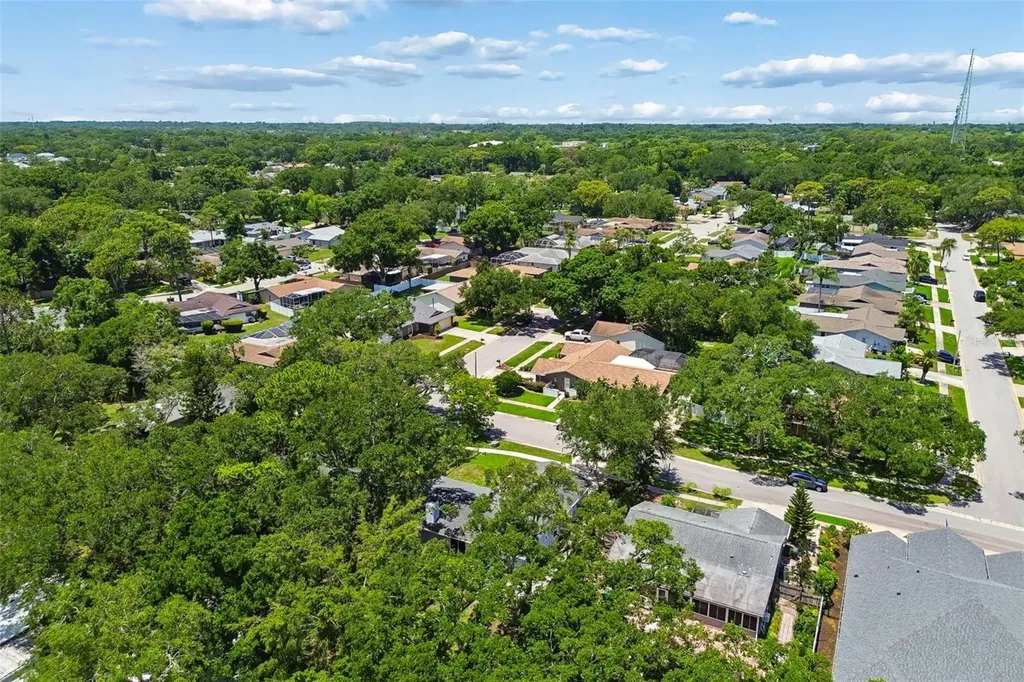 222 Lotus Drive Safety Harbor FL 34695