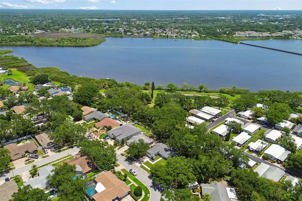 222 Lotus Drive Safety Harbor FL 34695
