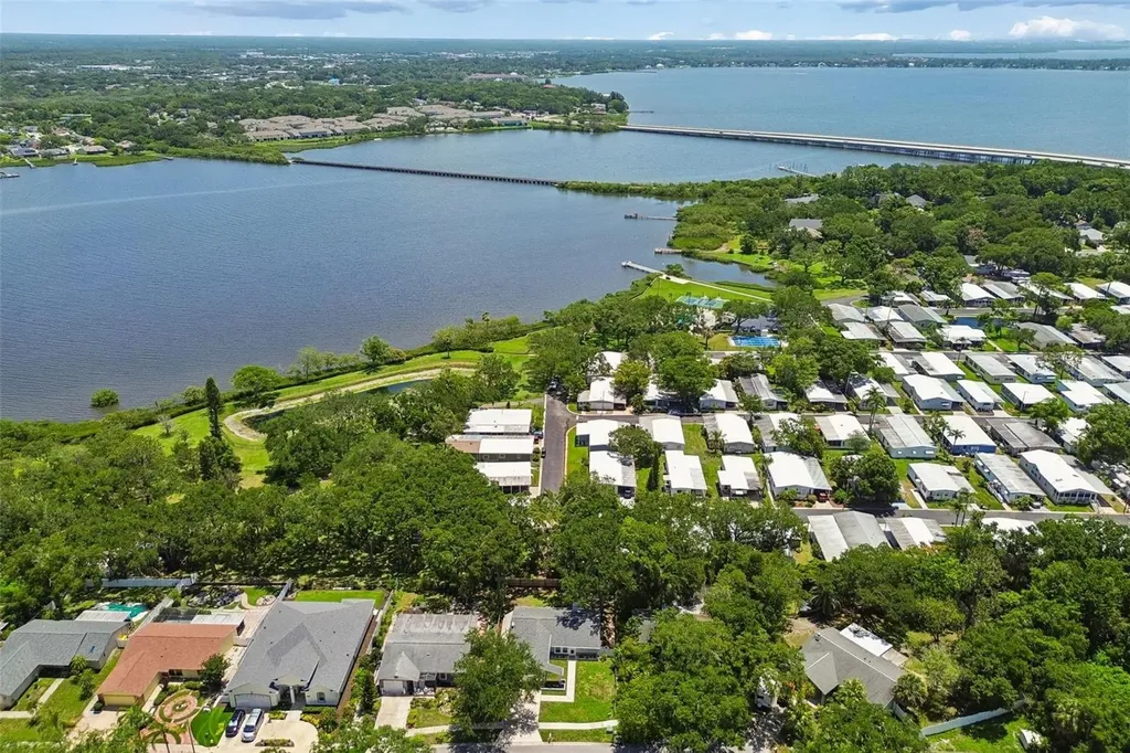 222 Lotus Drive Safety Harbor FL 34695