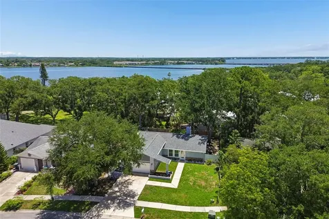 222 Lotus Drive Safety Harbor FL 34695