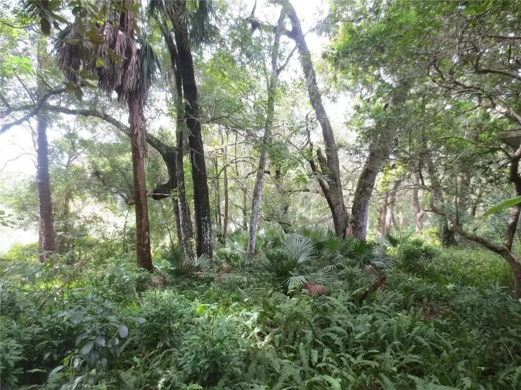 16865 SE 3rd Place Silver Springs FL 34488