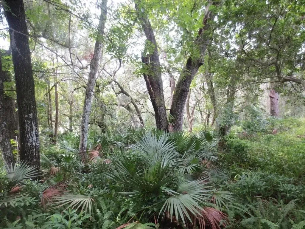16865 SE 3rd Place Silver Springs FL 34488