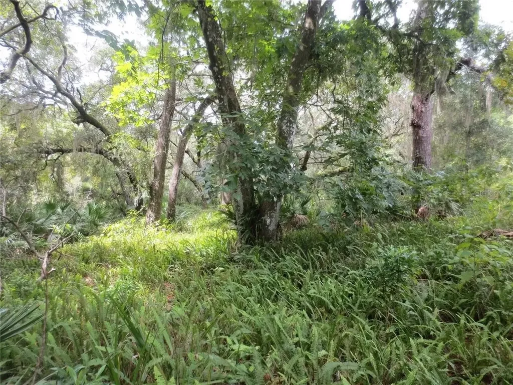 16865 SE 3rd Place Silver Springs FL 34488