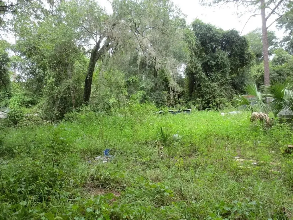 16865 SE 3rd Place Silver Springs FL 34488