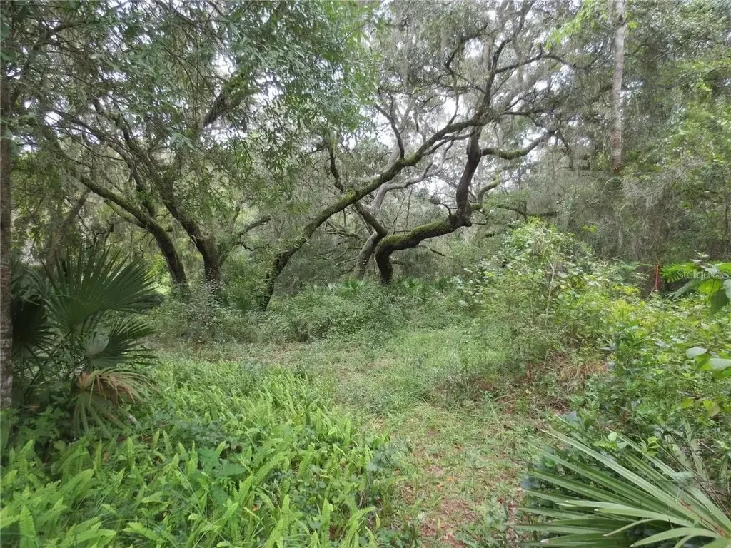16865 SE 3rd Place Silver Springs FL 34488