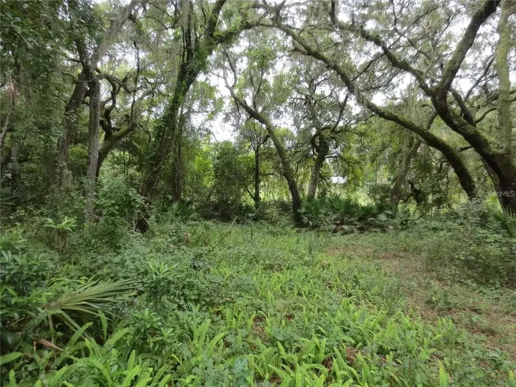 16865 SE 3rd Place Silver Springs FL 34488