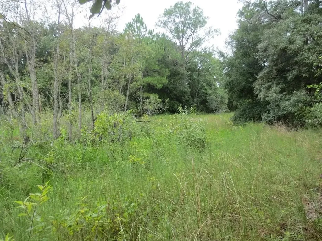 16865 SE 3rd Place Silver Springs FL 34488