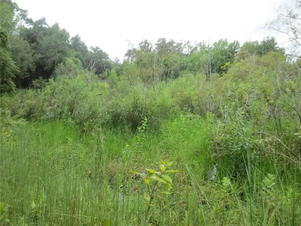 16865 SE 3rd Place Silver Springs FL 34488