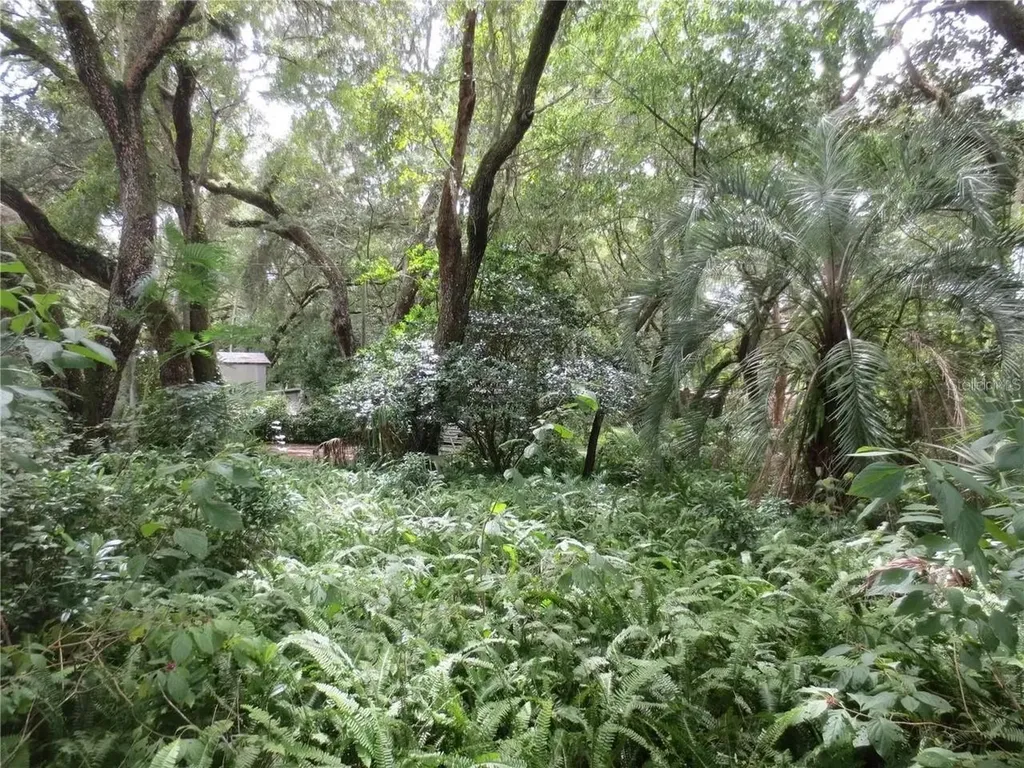 16865 SE 3rd Place Silver Springs FL 34488